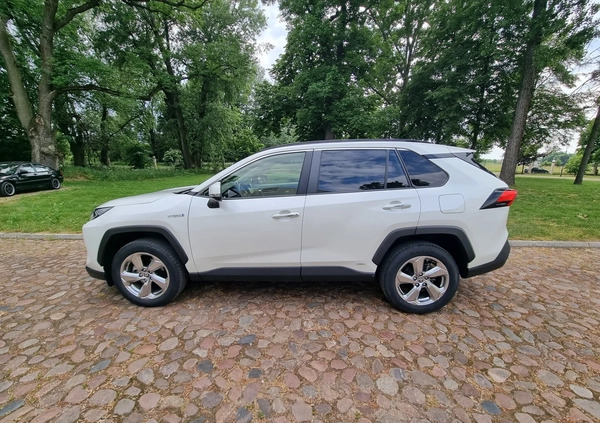 Toyota RAV4 cena 174000 przebieg: 24232, rok produkcji 2020 z Wieleń małe 407